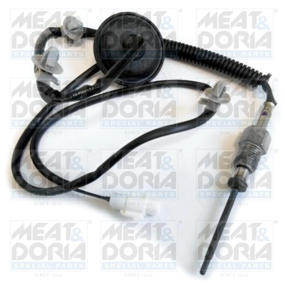 Sensor, exhaust gas temperature